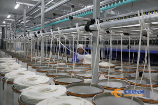 兵團(tuán)草湖廣東紡織服裝產(chǎn)業(yè)園三期項(xiàng)目首條生產(chǎn)線順利試產(chǎn)