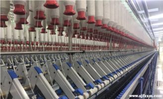 新疆紡企用紡織撬動西部經(jīng)濟(jì)