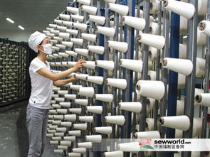 錢金耐委員 加快推進(jìn)新疆紡織服裝產(chǎn)業(yè)中心建設(shè)