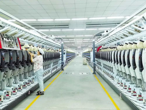 政府 大禮包 ,讓春節更溫暖