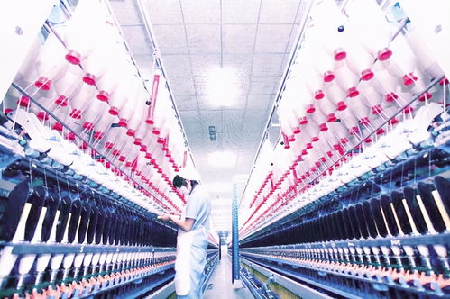 金梭銀線織錦繡 周口市高質量發展紡織服裝產業綜述