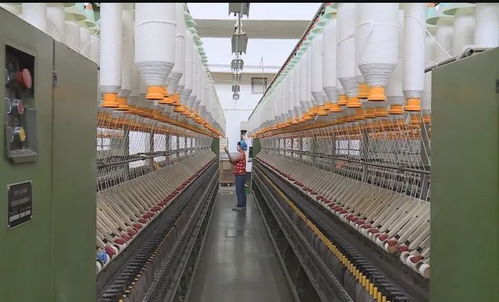 我縣紡織企業吹響復工復產集結號
